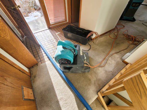 Best Residential water damage restoration  in Lomita, CA