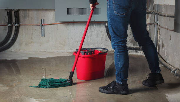 Reliable Lomita, CA Water damage restoration Solutions