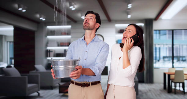 Best Water damage restoration mold remediation  in Lomita, CA