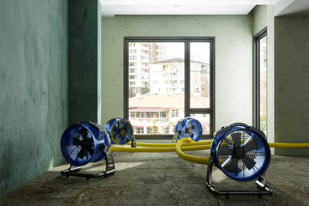 Fire Damage Restoration in Lomita, CA